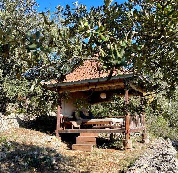 膳宿费 Gite La Teranga