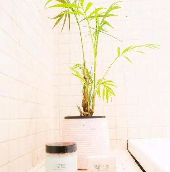 リゾートホテル Chalet La Piste