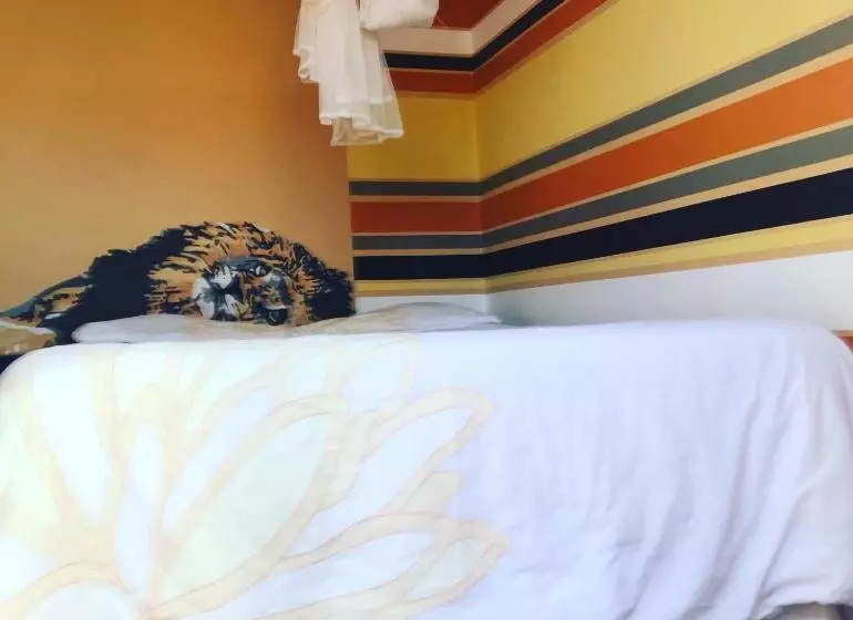 هاستل Paradisegarden Backpackers