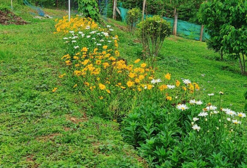 Cleveland Resorts Kanthalloor