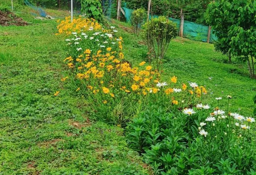 Cleveland Resorts Kanthalloor