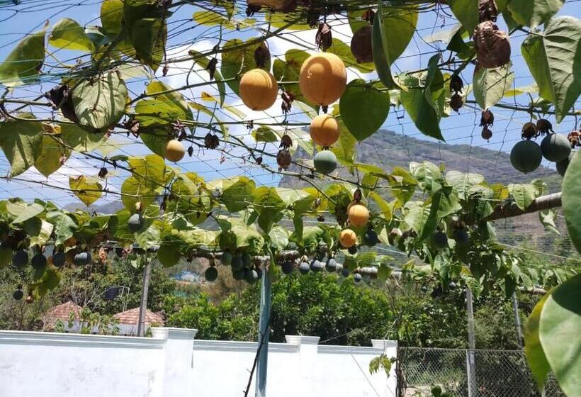 Cleveland Resorts Kanthalloor