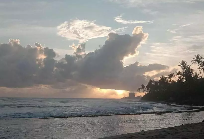 ホテル Coconut Villa Madiha
