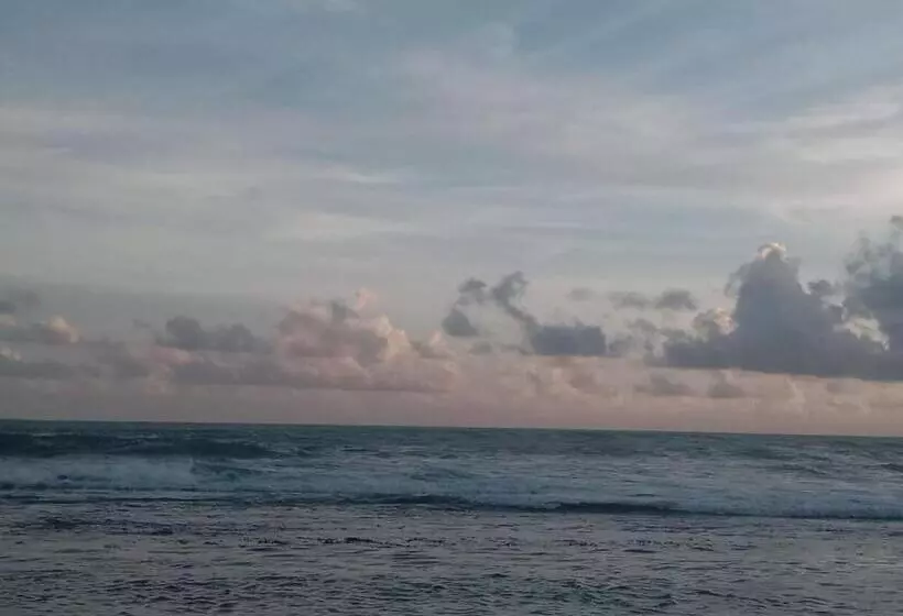 ホテル Coconut Villa Madiha