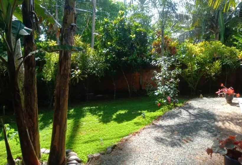 ホテル Coconut Villa Madiha