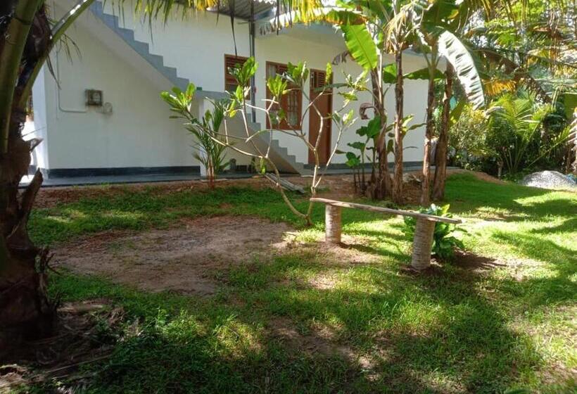 호텔 Coconut Villa Madiha