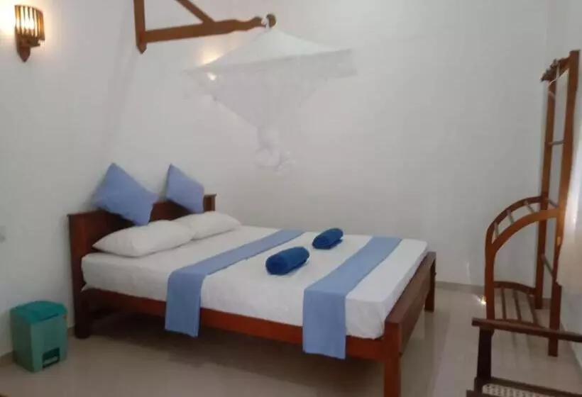 ホテル Coconut Villa Madiha