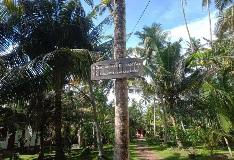 ホテル Coconut Villa Madiha