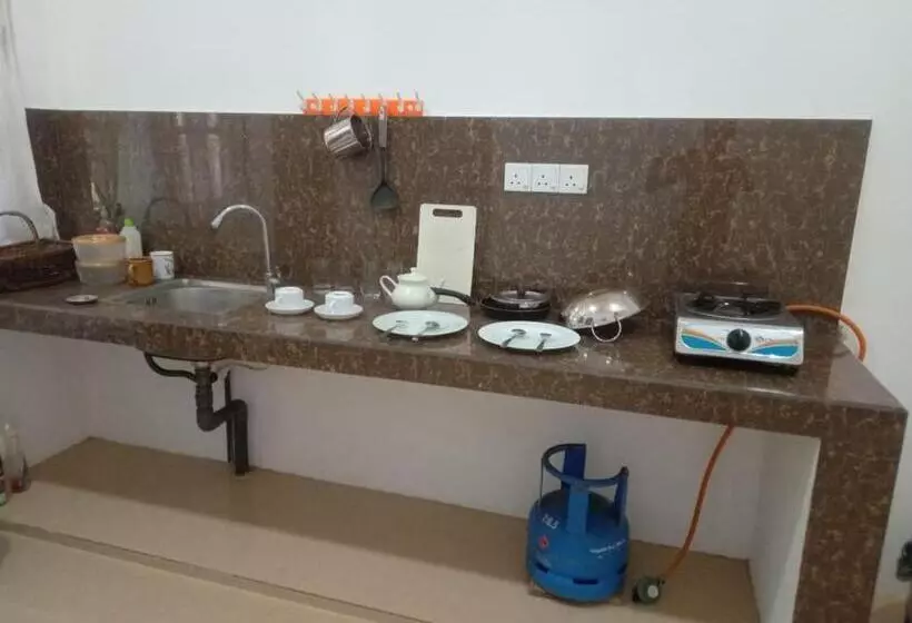 ホテル Coconut Villa Madiha