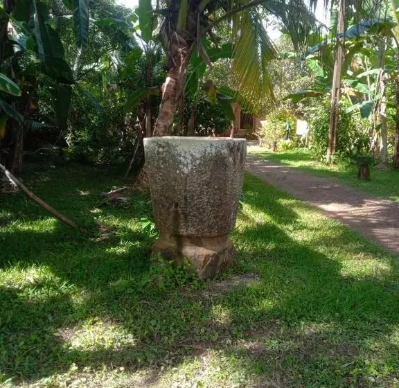 ホテル Coconut Villa Madiha