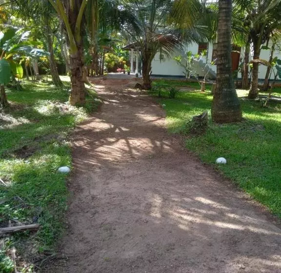 ホテル Coconut Villa Madiha