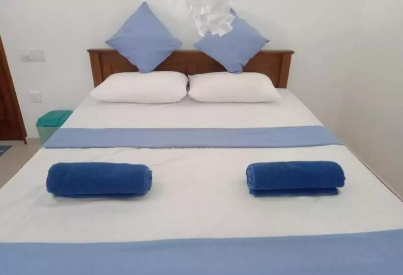 ホテル Coconut Villa Madiha