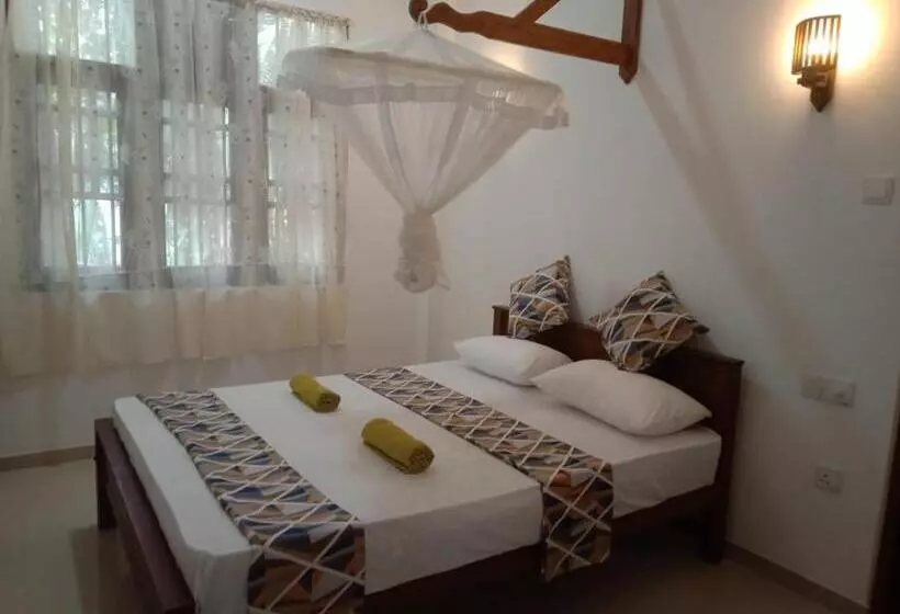 ホテル Coconut Villa Madiha