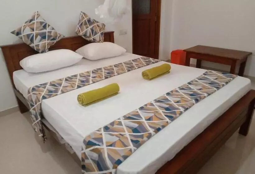 ホテル Coconut Villa Madiha