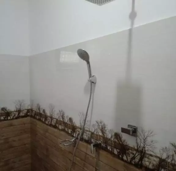 ホテル Coconut Villa Madiha