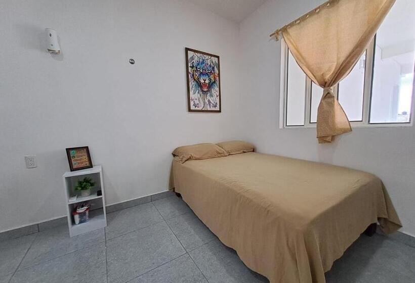 پانسیون Tierra Maya