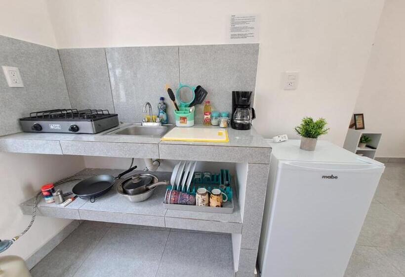 پانسیون Tierra Maya