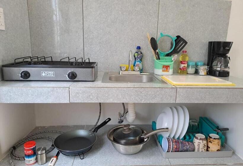 پانسیون Tierra Maya