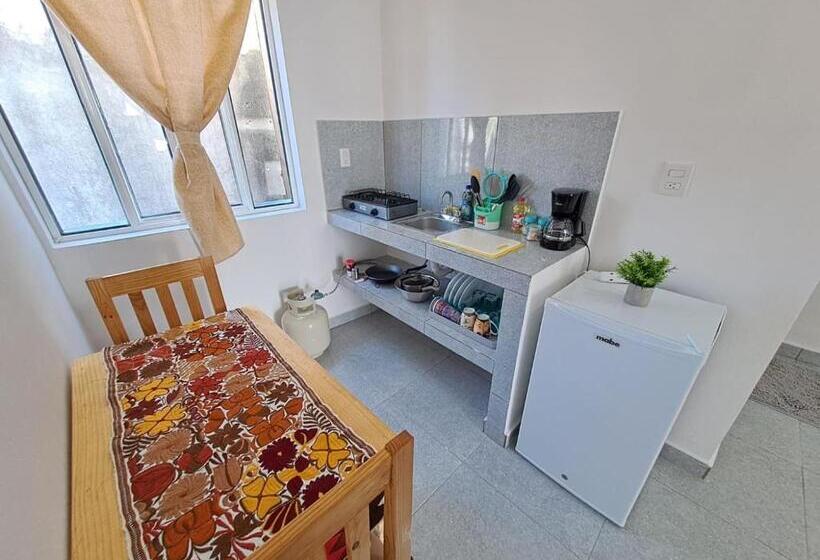 پانسیون Tierra Maya