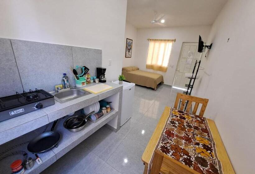 پانسیون Tierra Maya