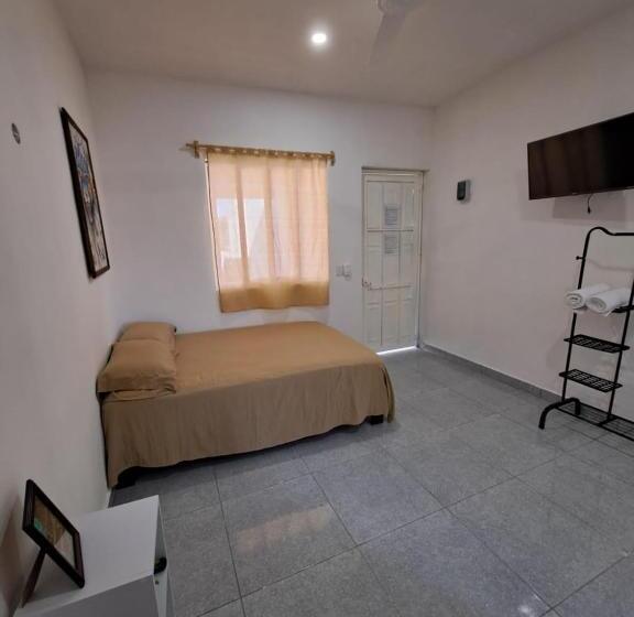 پانسیون Tierra Maya