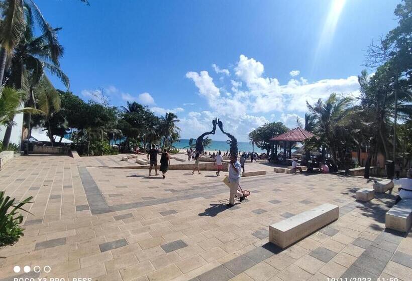 پانسیون Tierra Maya