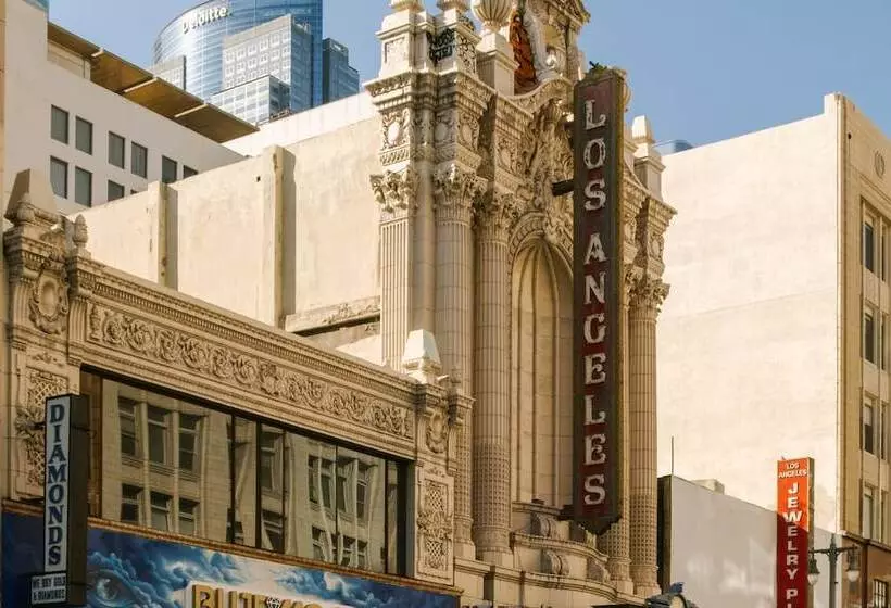 Sonder The Craftsman