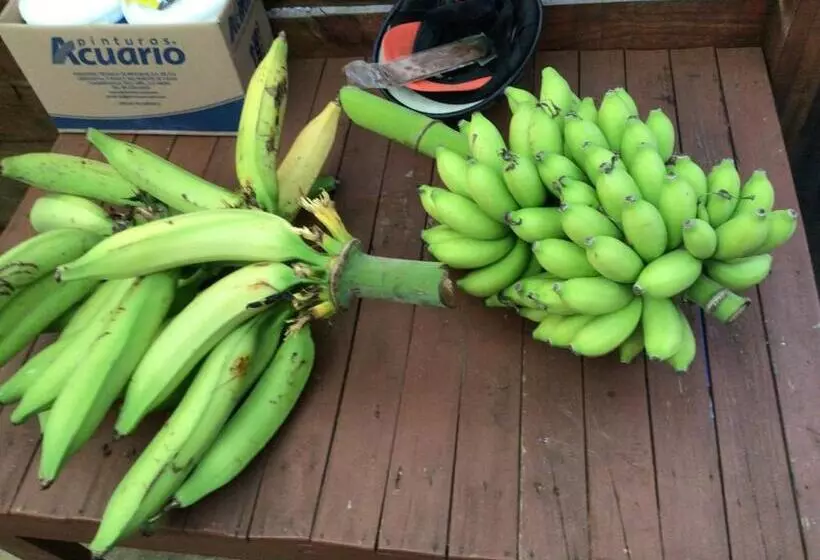 ベッドアンドブレックファースト Mar Y Luna