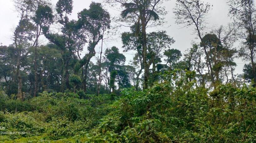 تختخواب و صبحانه The Infinity Villa A Unit Of Nisarga Thana Homes