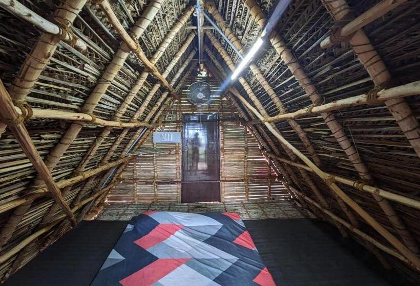 Отель Banana Beach House