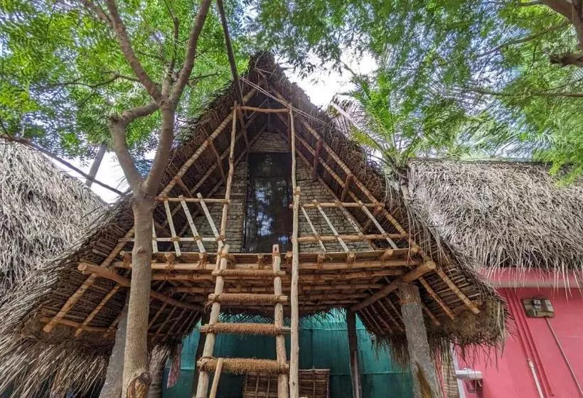 ホテル Banana Beach House