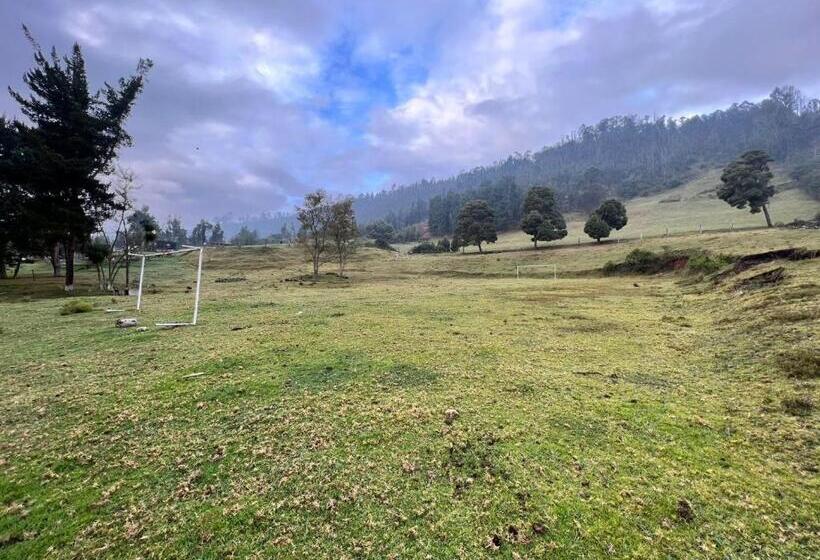 בית מלון כפרי Finca Villa Del Carmen