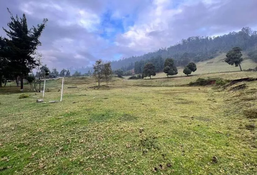 ホテル Finca Villa Del Carmen