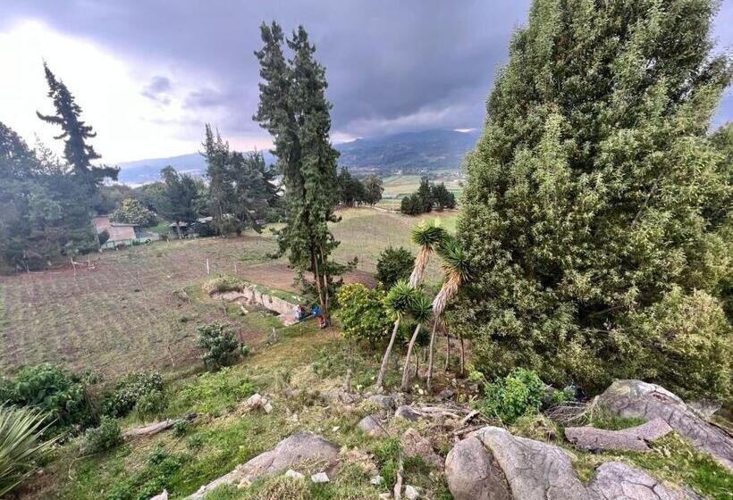 בית מלון כפרי Finca Villa Del Carmen