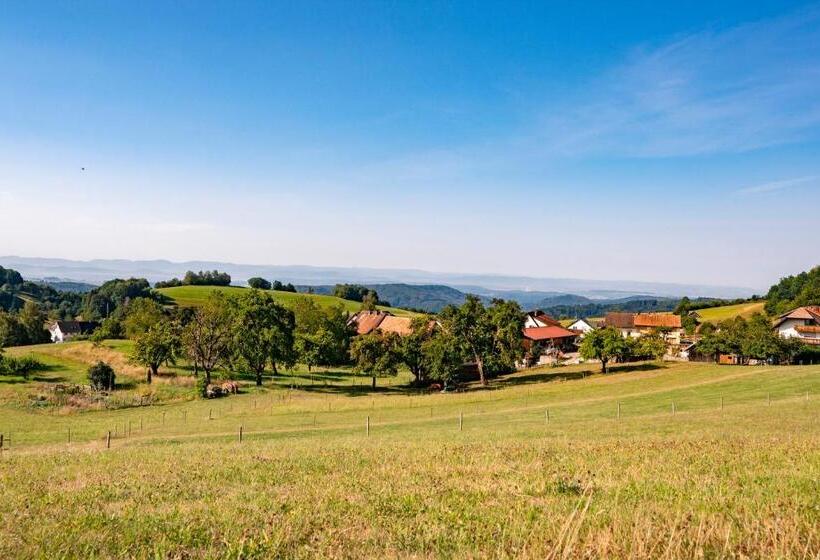 בית מלון כפרי Hofgut Leo