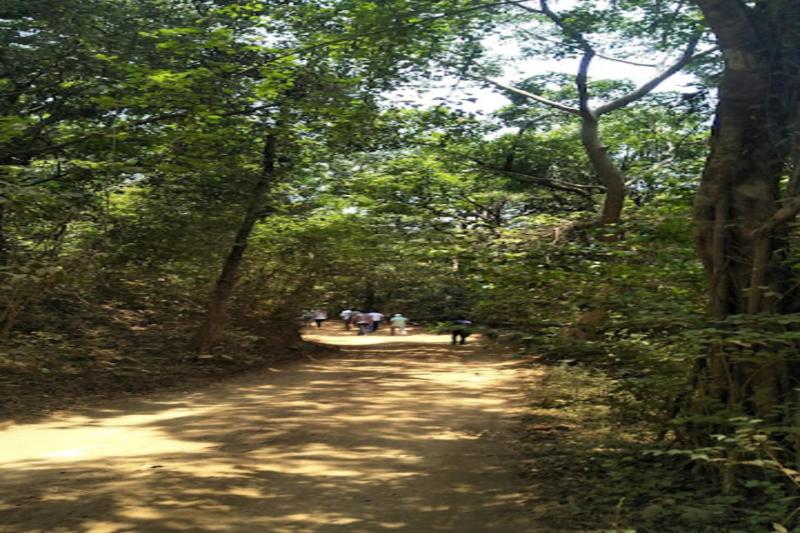 Nikhara Estate And Resort