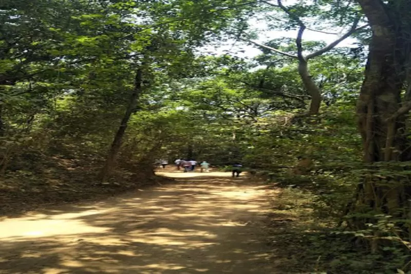 Nikhara Estate And Resort