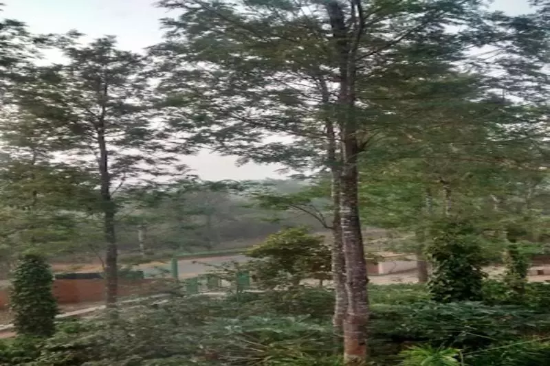 Nikhara Estate And Resort