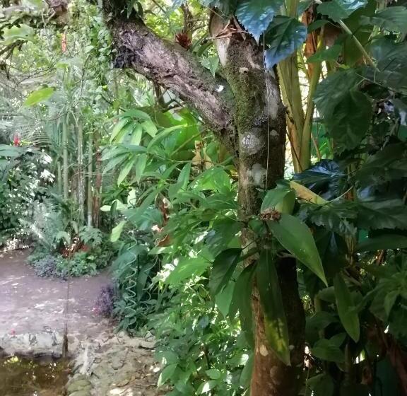 Пансион El Ceibo Backpakers