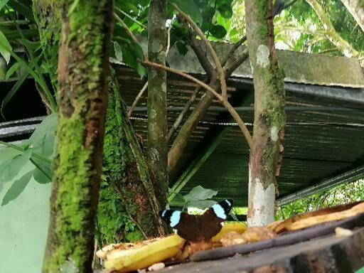 Пансион El Ceibo Backpakers