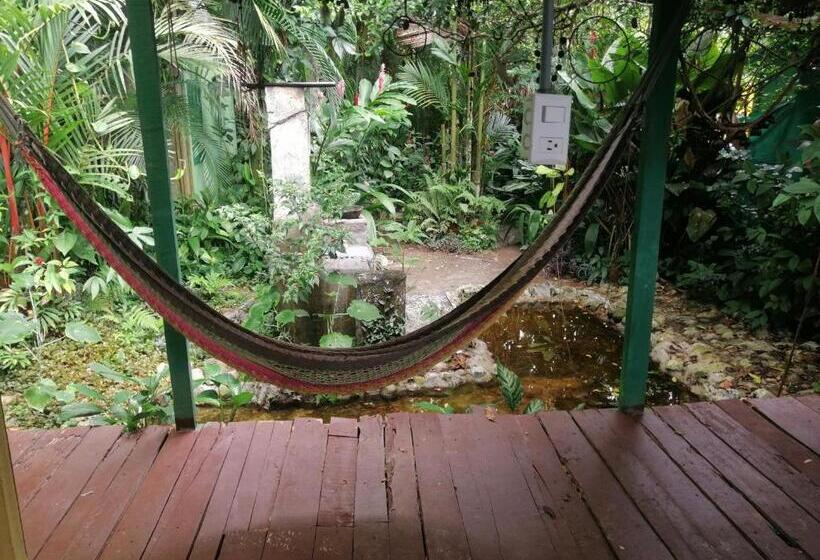 Пансион El Ceibo Backpakers