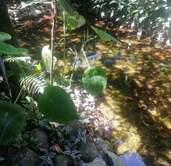 Пансион El Ceibo Backpakers