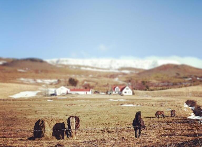 پانسیون Minna Mosfell Guesthouse