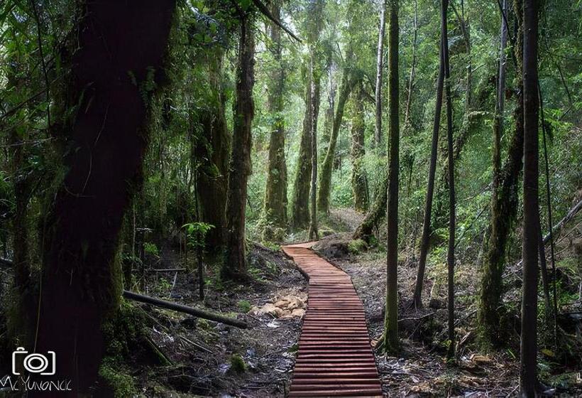 Tinaja Mar Quillaipe   Hostería   Bed And Breakfast