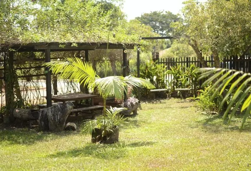 ユースホステル Espaço Sairé   Alter Do Chão