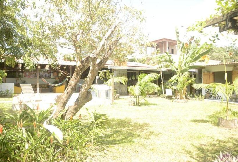 Schronisko Espaço Sairé Alter Do Chão