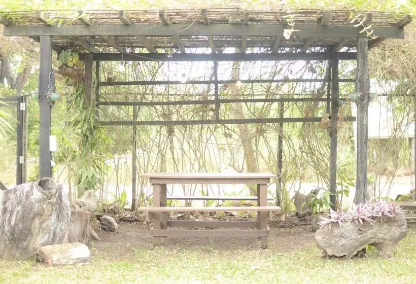 ユースホステル Espaço Sairé   Alter Do Chão