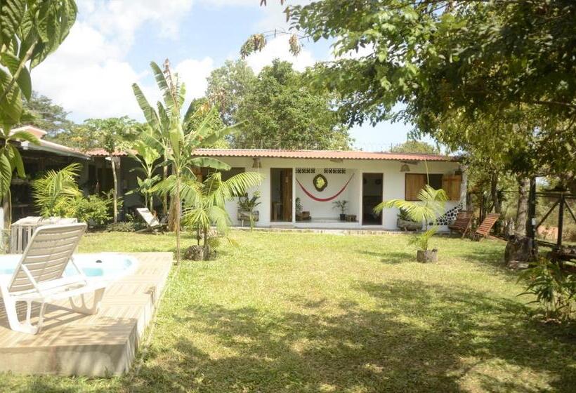 Hospedaria Espaço Sairé Alter Do Chão