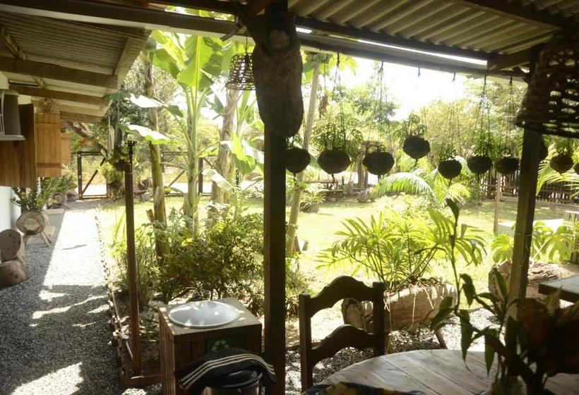 Hospedaria Espaço Sairé Alter Do Chão