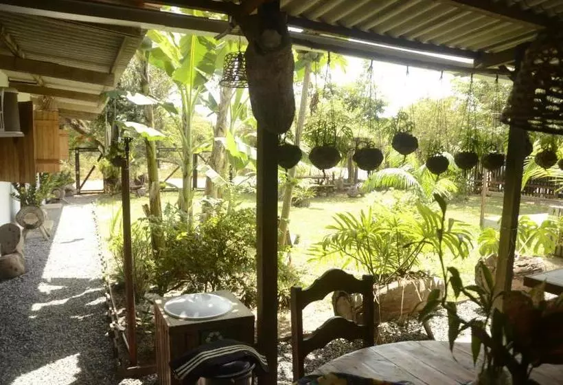 ユースホステル Espaço Sairé   Alter Do Chão